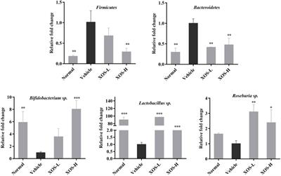 Effects of Xylooligosaccharides on Lipid Metabolism, Inflammation, and Gut Microbiota in C57BL/6J Mice Fed a High-Fat Diet